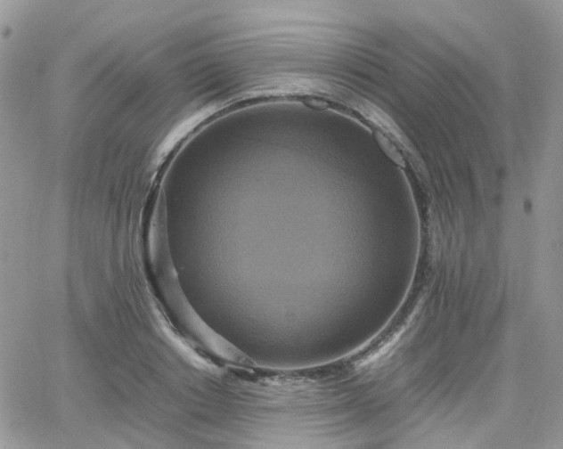 X0000066520842200603241334