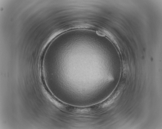 X0000066520843200603241334