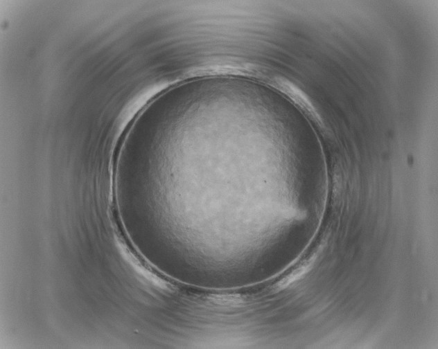 X0000066520844200603241334