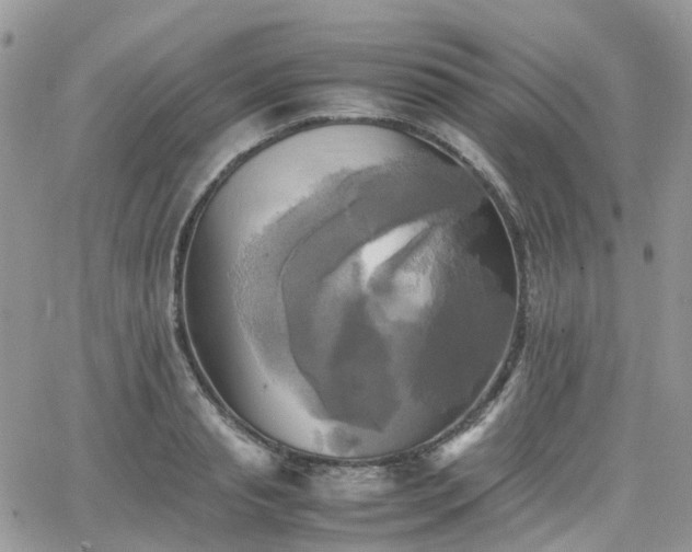 X0000066520845200603241334