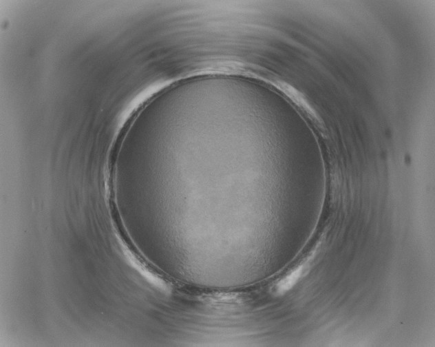 X0000066520846200603241334