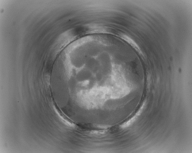 X0000066520849200603241335