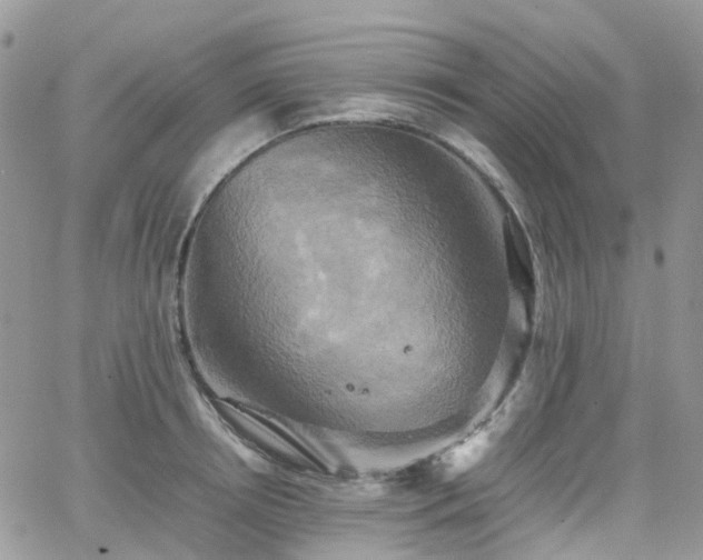 X0000066520850200603241335