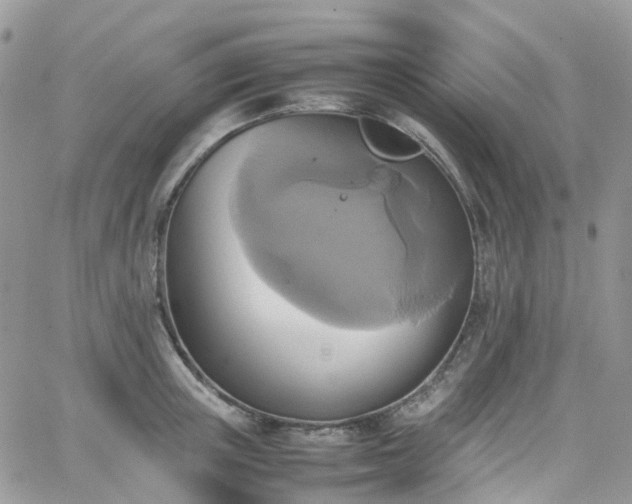 X0000066520851200603241335