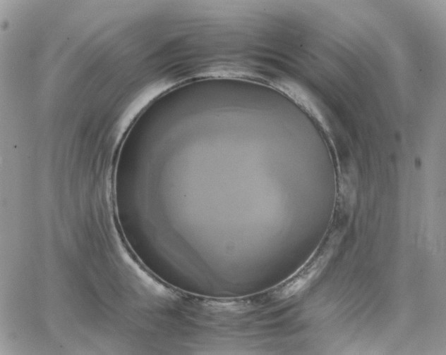 X0000066520855200603241335