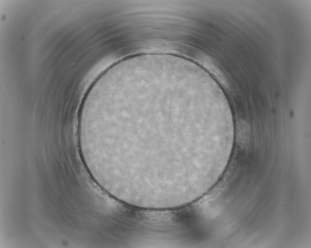 X0000066520856200603241335