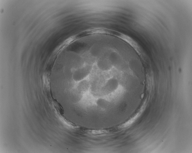 X0000066520857200603241335