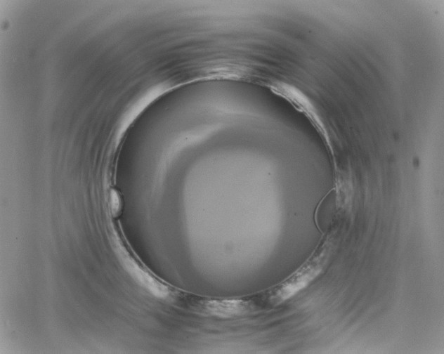 X0000066520859200603241335