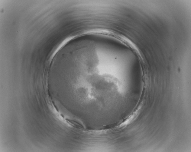 X0000066520860200603241335