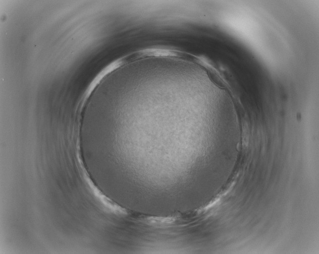 X0000066520861200603241335