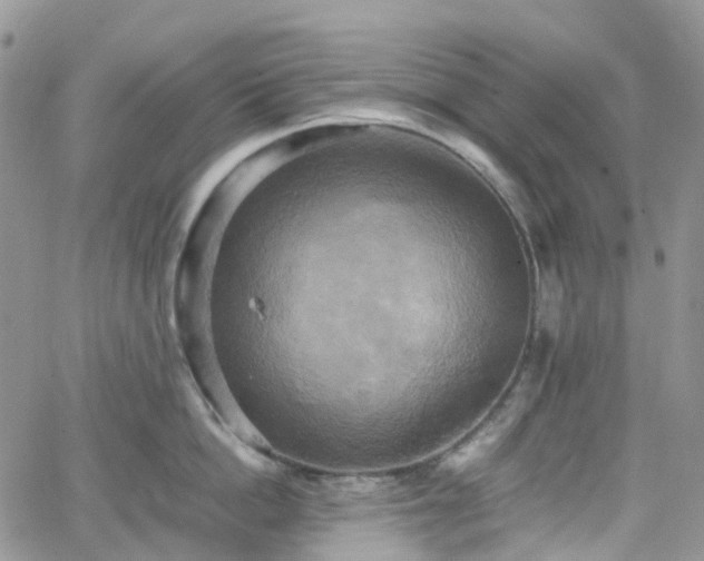 X0000066520862200603241335