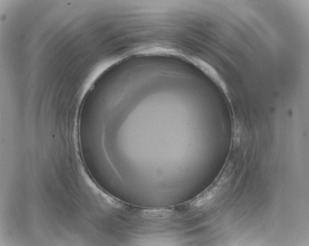 X0000066520863200603241335