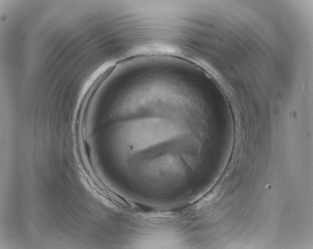 X0000066520864200603241335