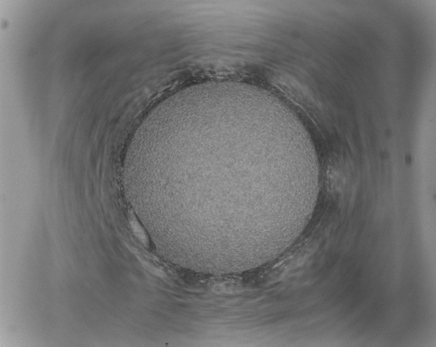 X0000066520865200603241334