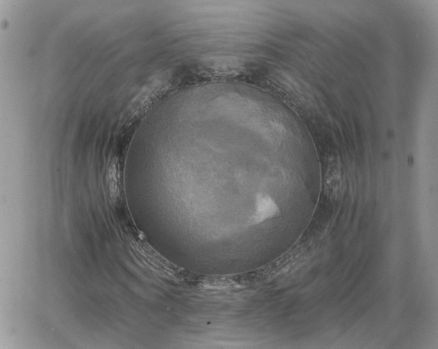 X0000066520866200603241334