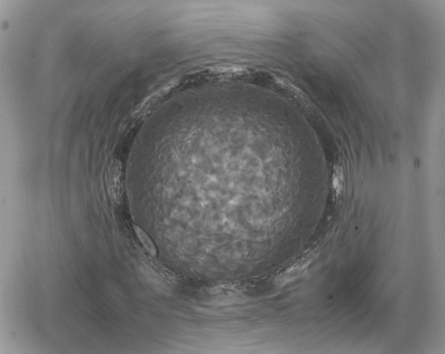 X0000066520867200603241334