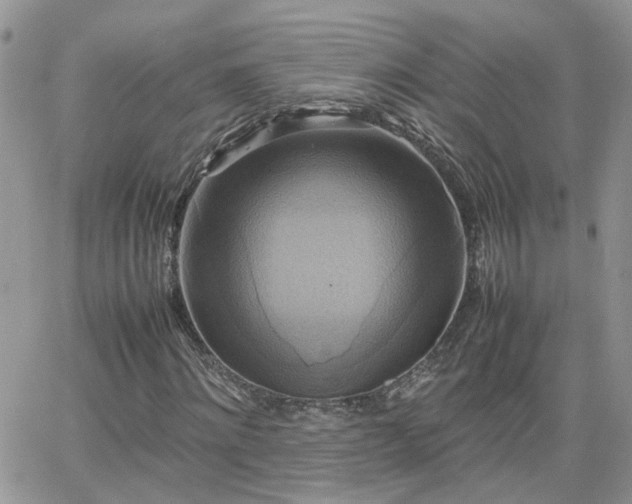 X0000066520868200603241334