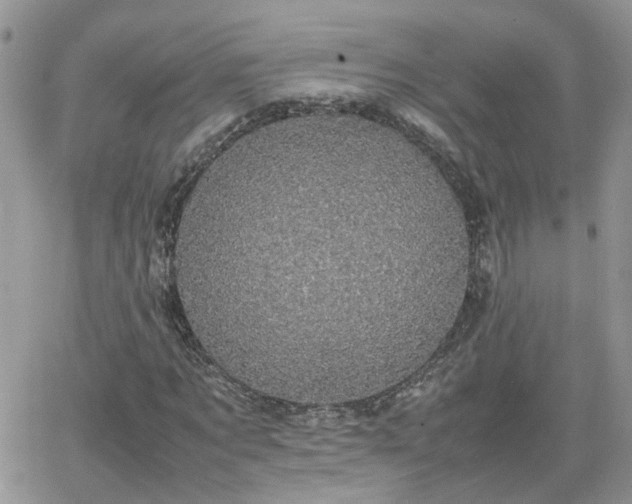 X0000066520869200603241334