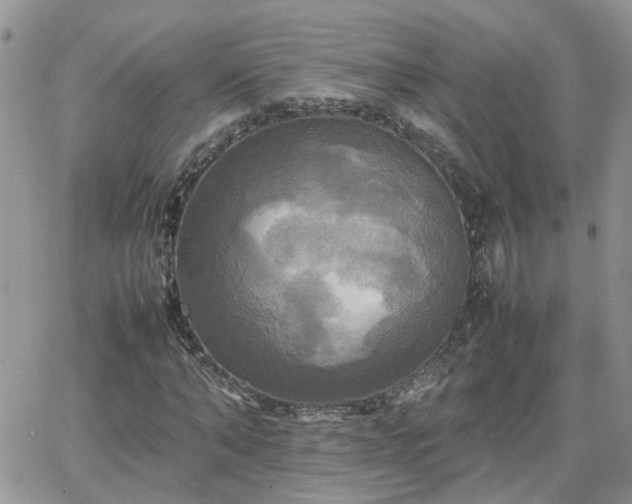 X0000066520870200603241334