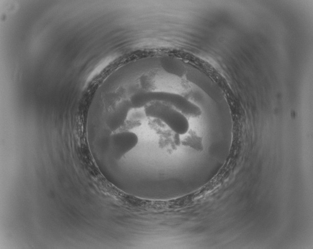 X0000066520871200603241334