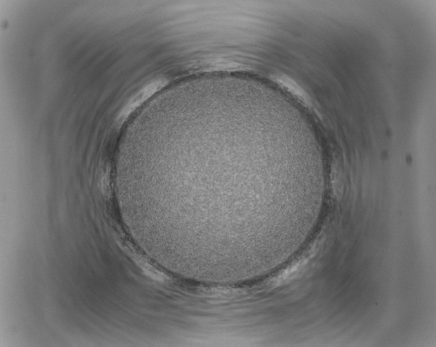 X0000066520873200603241334