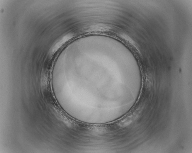 X0000066520874200603241334