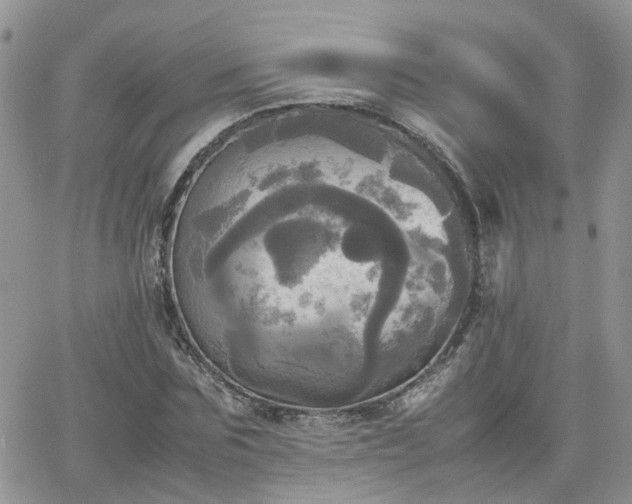 X0000066520875200603241334