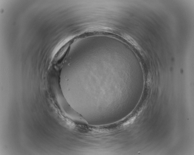 X0000066520877200603241334