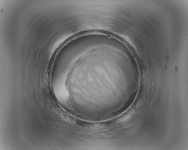 X0000066520879200603241334