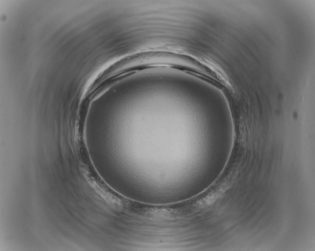 X0000066520880200603241334