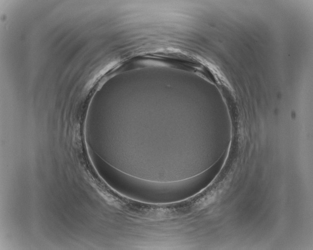 X0000066520881200603241334