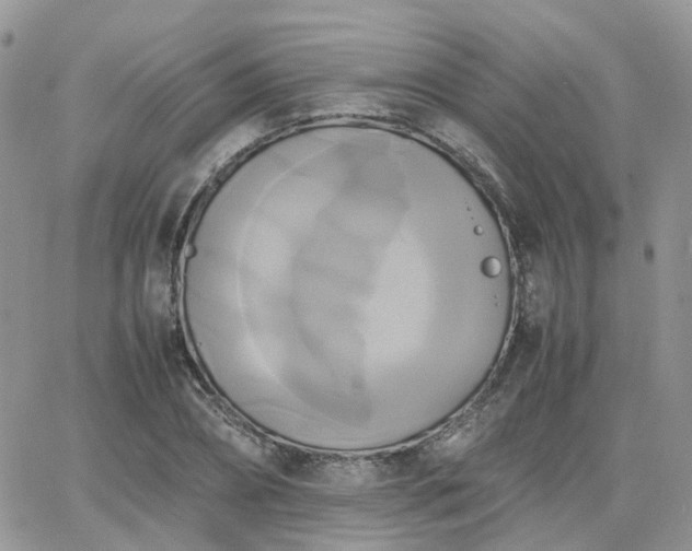 X0000066520882200603241334