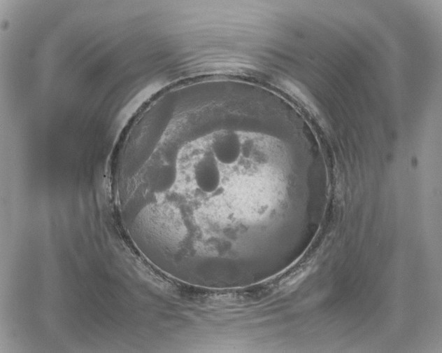 X0000066520883200603241334