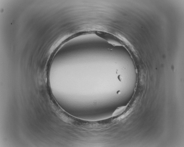 X0000066520885200603241334