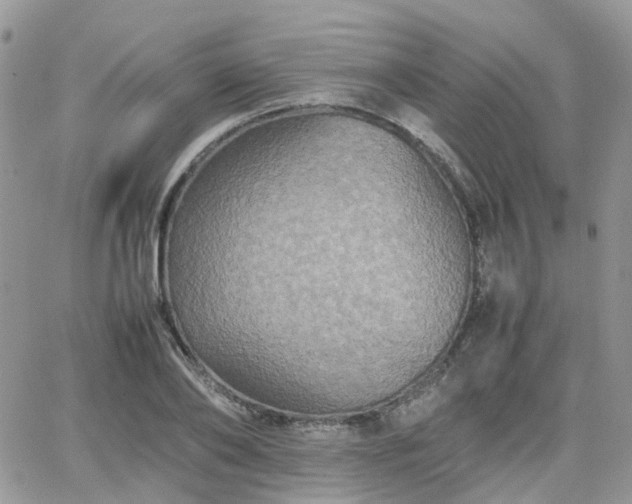 X0000066520886200603241334