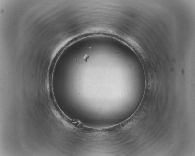 X0000066520888200603241334