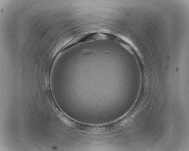 X0000066520889200603241334