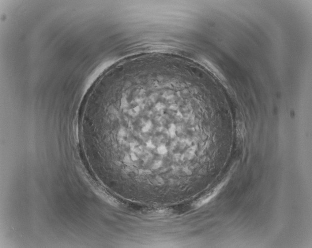 X0000066520891200603241334