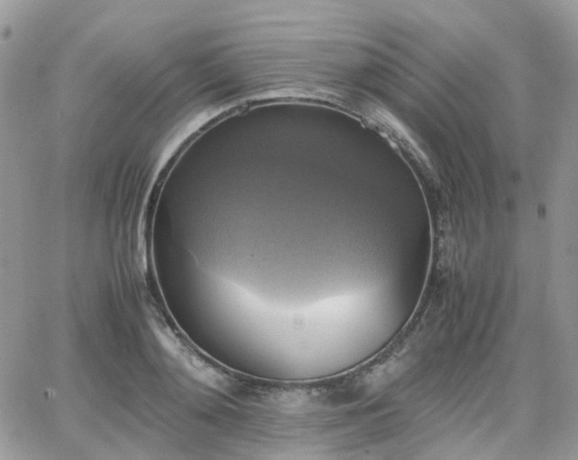 X0000066520892200603241334