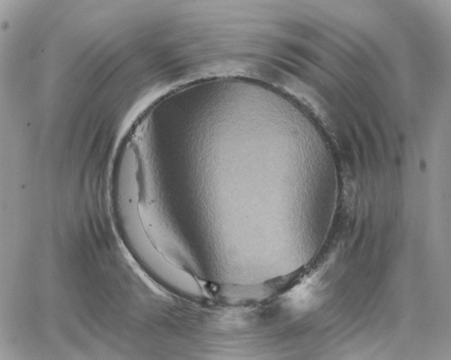 X0000066520894200603241334