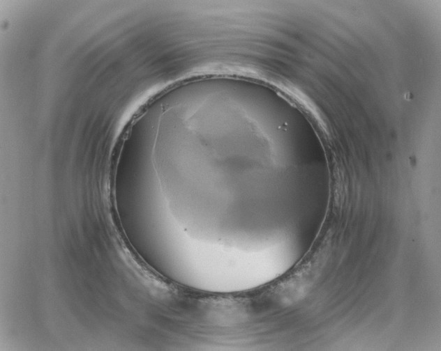 X0000066520896200603241333