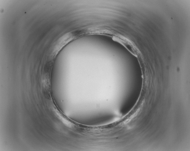 X0000066520897200603241333