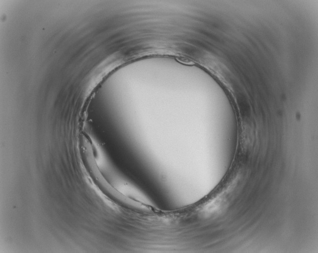 X0000066520898200603241333