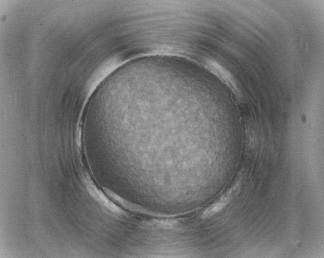 X0000066520900200603241333