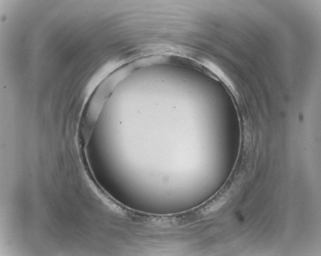 X0000066520901200603241333