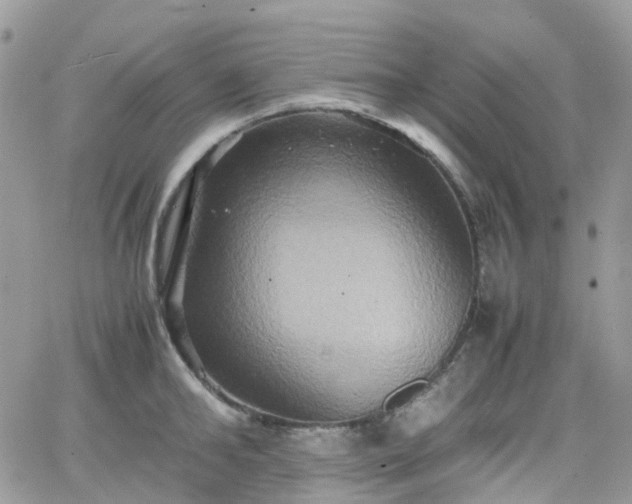 X0000066520902200603241333