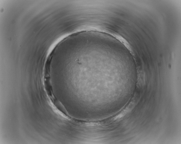 X0000066520904200603241333