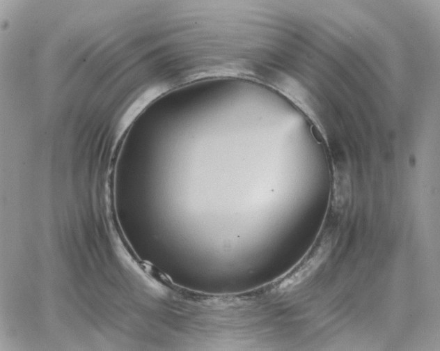 X0000066520906200603241333