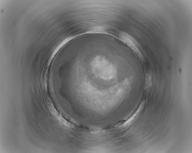 X0000066520908200603241333