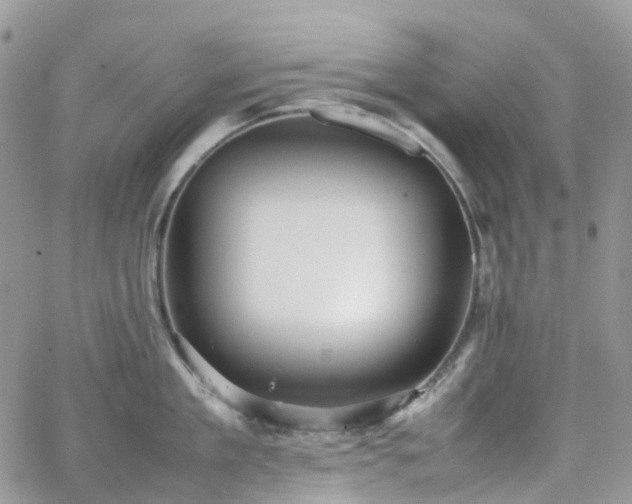 X0000066520909200603241333